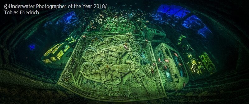 CYCLE-WAR, Тобиас Фридрих (Германия). Победитель в основной номинации "Подводный фотограф года"