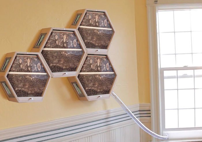 Одна компания придумала, как можно интегрировать пчелиные ульи в ваш домашний интерьер