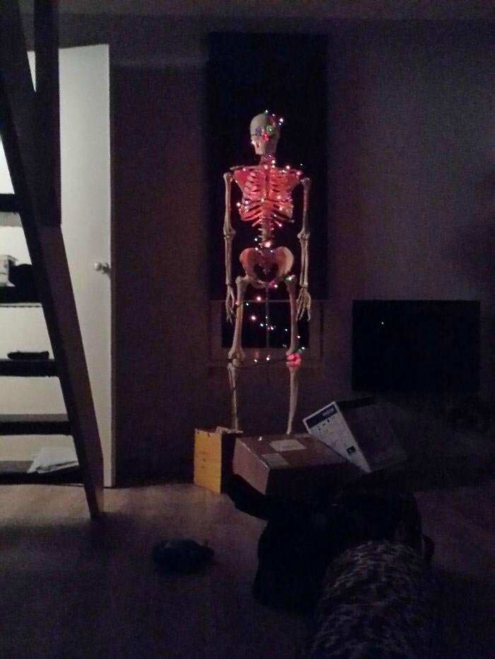 Кто-то был слишком ленив, чтобы украшать ёлку, поэтому он просто решил украсить скелет