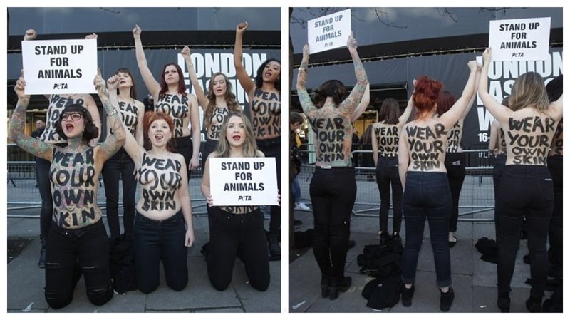 Британские защитницы животных устроили акцию протеста топлесс