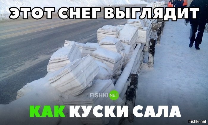 Выглядят как куски сала