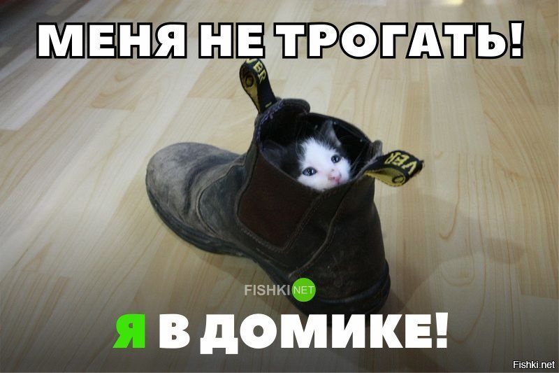 Меня не трогать,я в домике