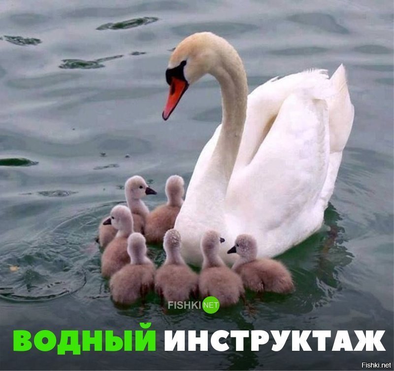 Водный инструктаж