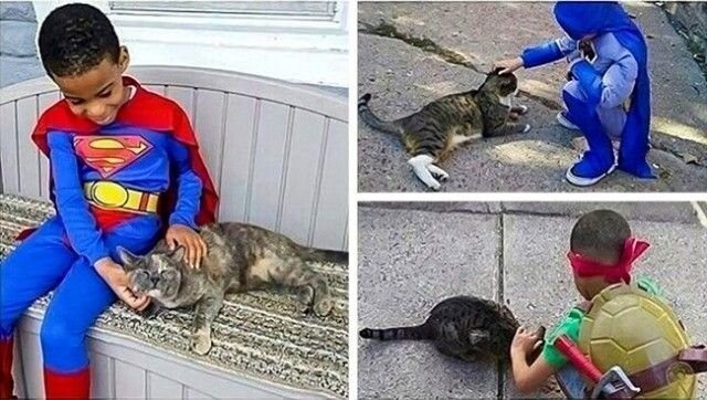 Шону 5 лет, и он наряжается, когда идет заботиться об уличных котах, он чувствует себя супергероем для животных