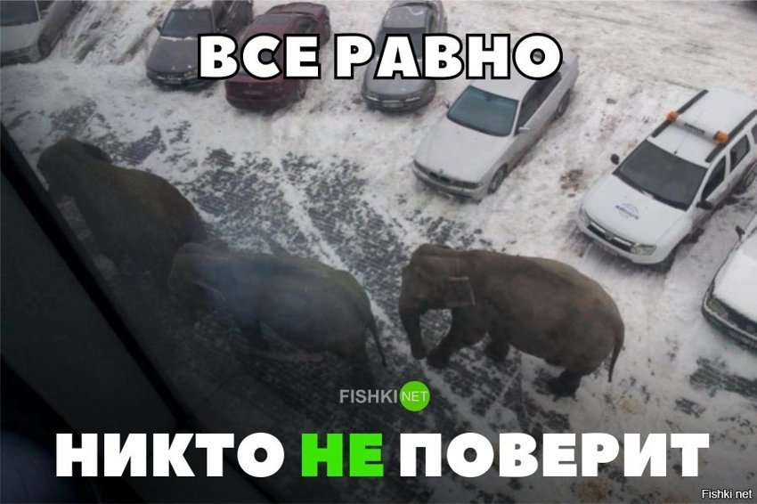 Всё равно никто не поверит