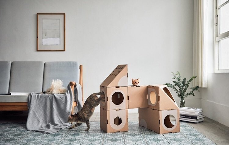 Это первые эко-домики компании A Cat Thing. Здесь предусмотрено место и для сна, и для игры - кот точно не заскучает.