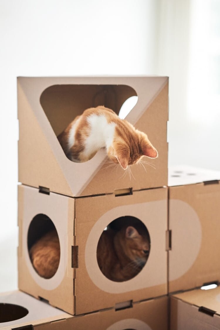 Кошачьи радости: модульные домики для кошек из картонных коробок