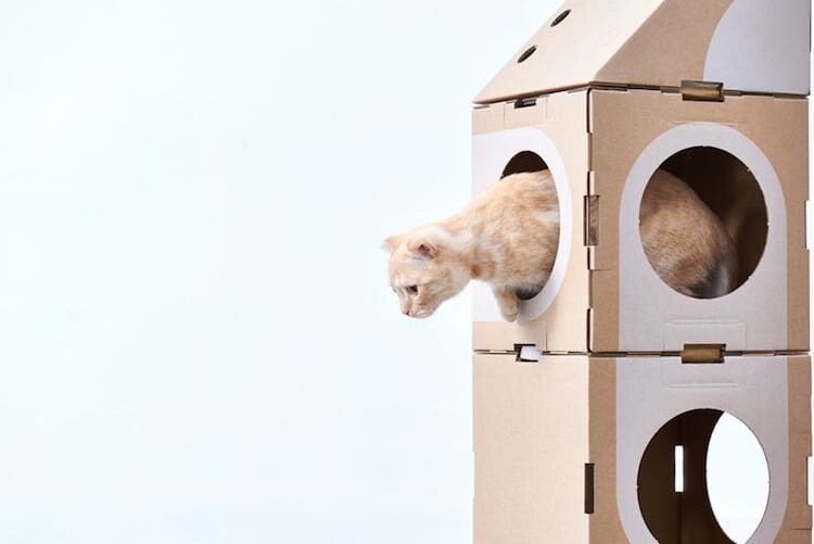 Кошачьи радости: модульные домики для кошек из картонных коробок