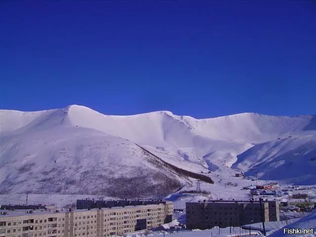 Солянка от 20.02.2018