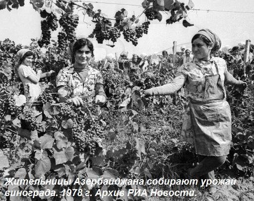 Политические коментарии соцсетей - 402