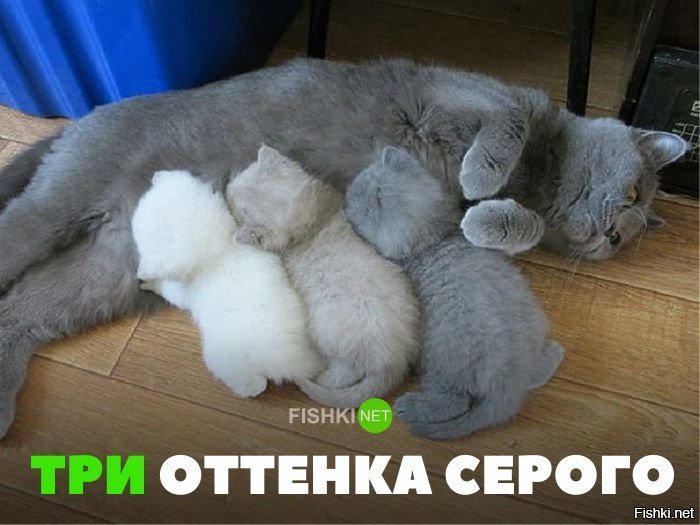 Три оттенка серого