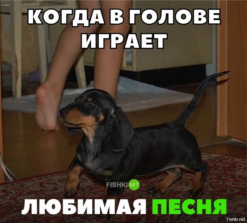 Когда в голове любимая песня