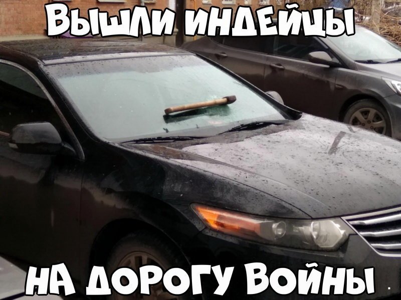 Автовсячина