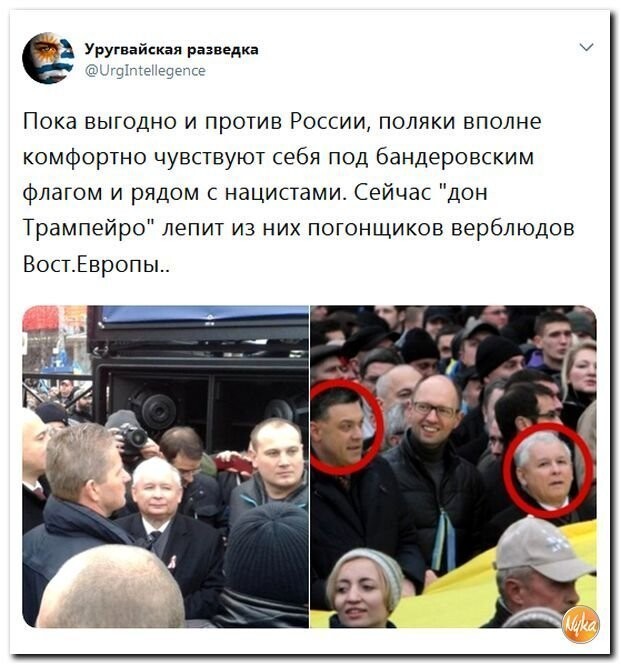Политические коментарии соцсетей - 403