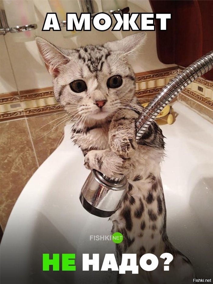 А может не надо?