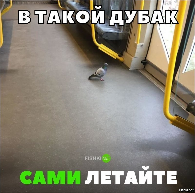 Сами летайте в такой дубак