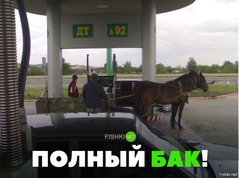 Мне полный бак!