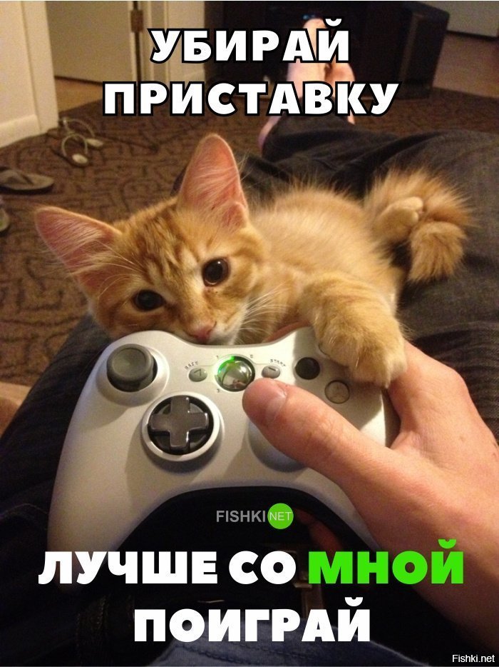 Лучше со мной поиграй
