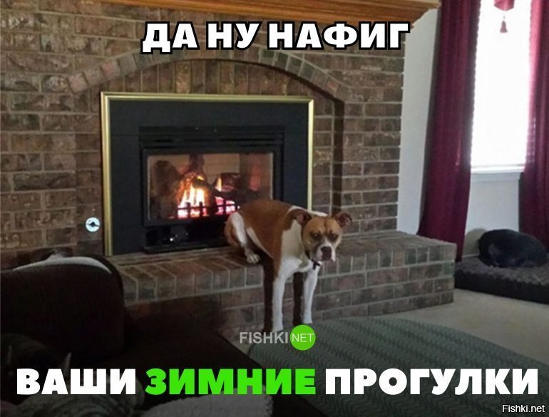 Ну нафиг зимние прогулки