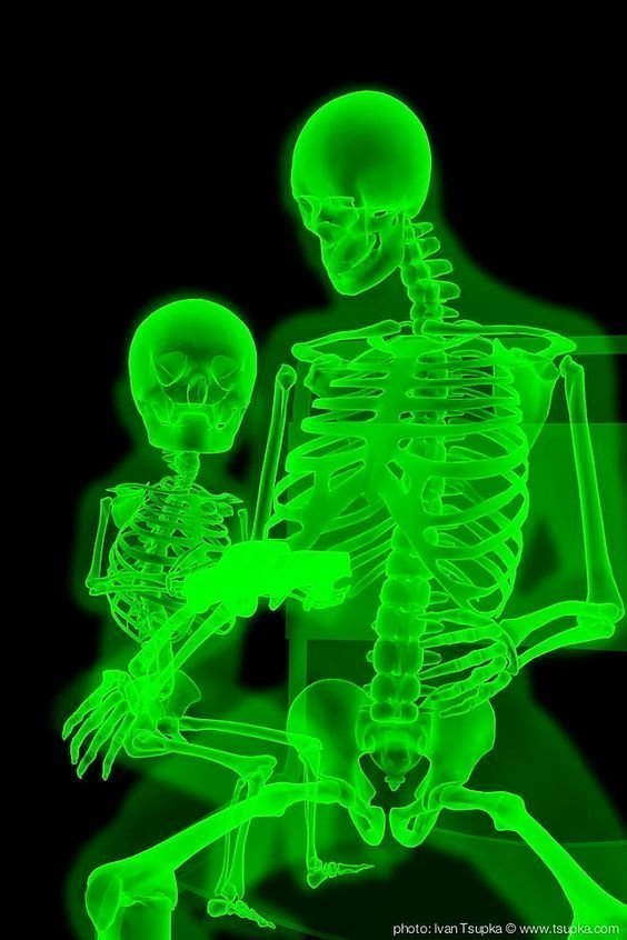 Мир в рентгеновских лучах - вид искусства, где видна изнанка бытия