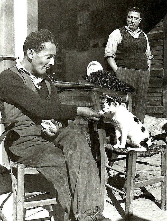 Уличная сценка. Двое мужчин и кошка.