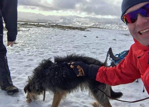 Герой-альпинист рискнул жизнью, чтобы спасти двух собак
