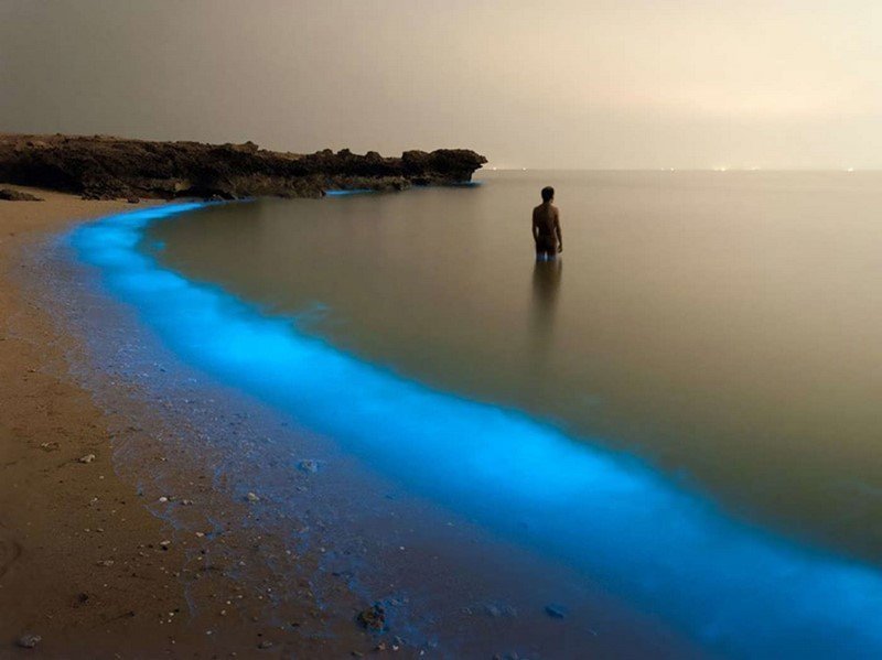 Светящийся планктон у берега, Иран