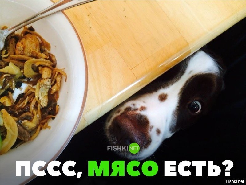 Пссс, парень. Есть мясо?