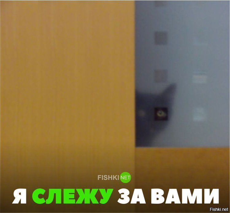 Я слежу за вами