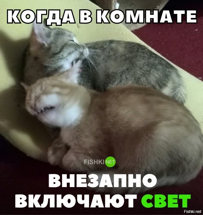 Когда внезапно включили свет