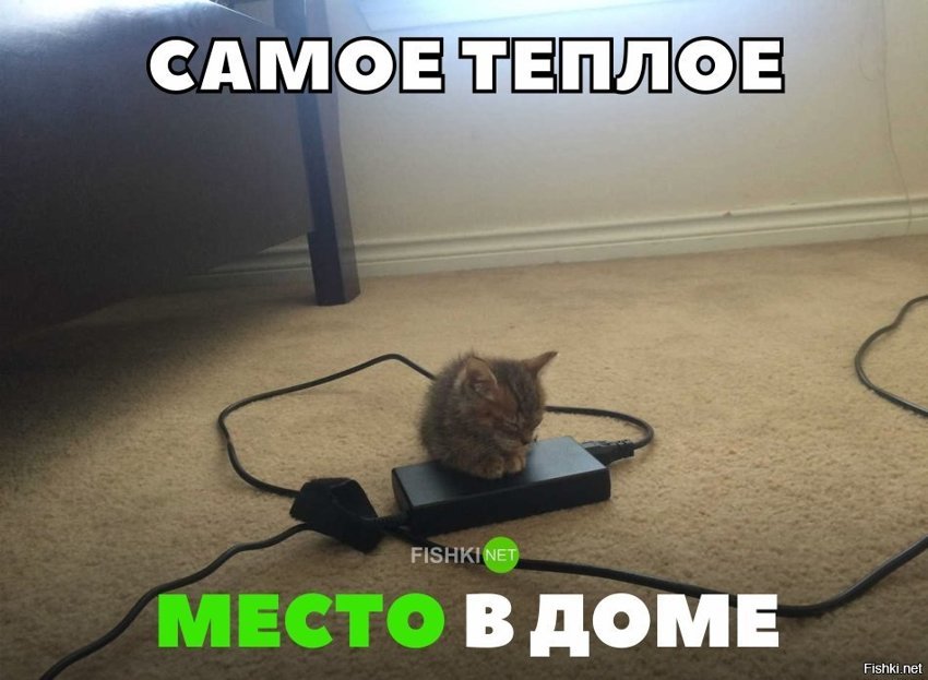 Самоё тёплое место в доме