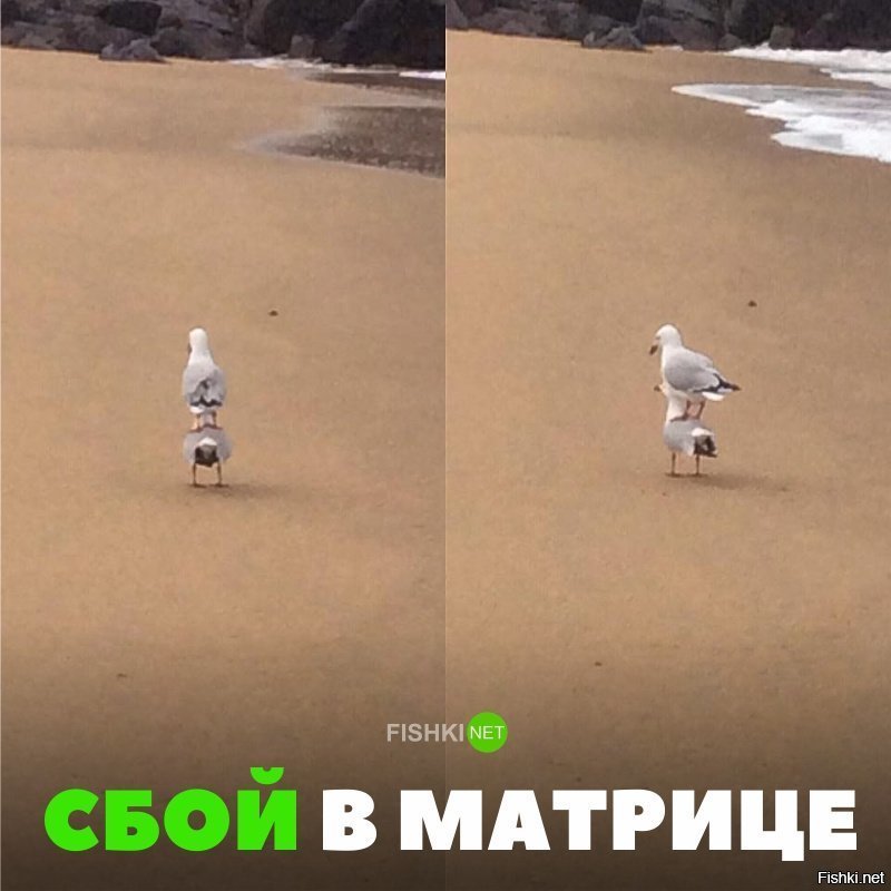 Сбой в матрице