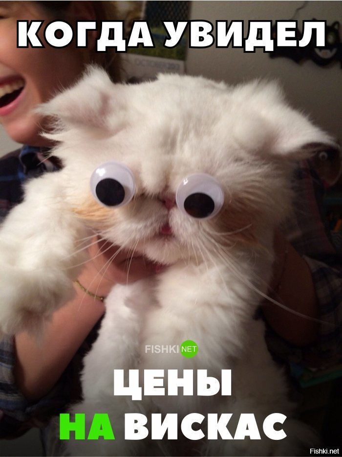 Когда увидел цены на вискас