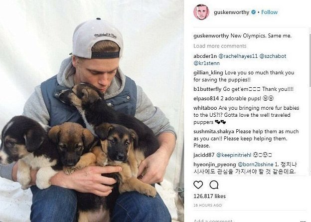  Еще в 2014 году на Олимпийских играх в Сочи Гас забрал домой несколько бездомных собак