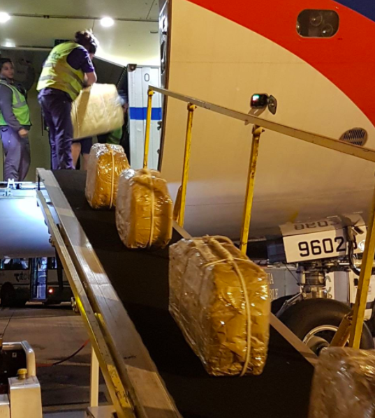 В самолете, который перевозил первых лиц государства в Россию, провезли 400 кг кокаина в чемоданах