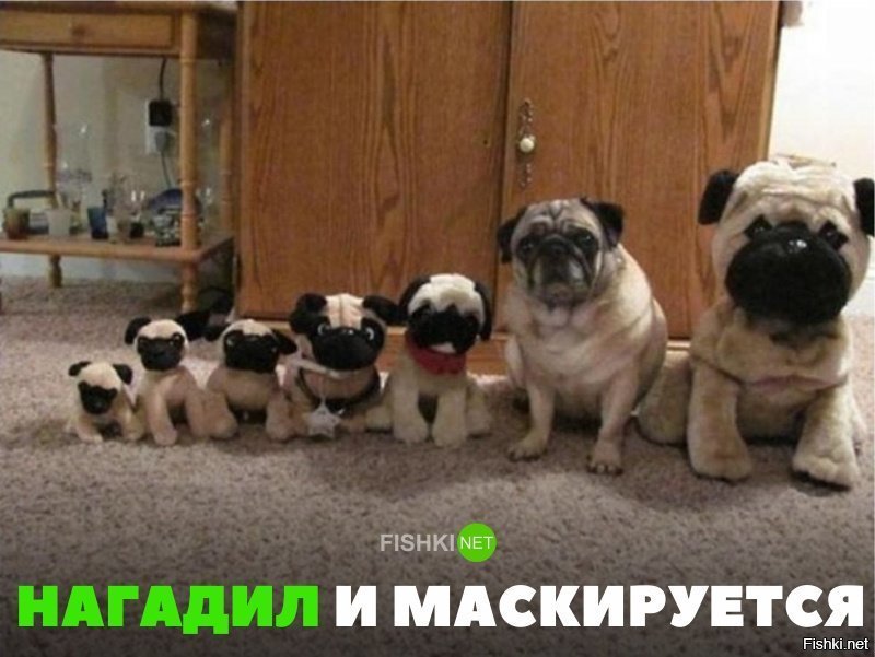 Маскируется