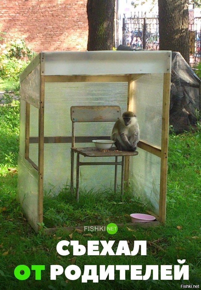 Съехал от родителей