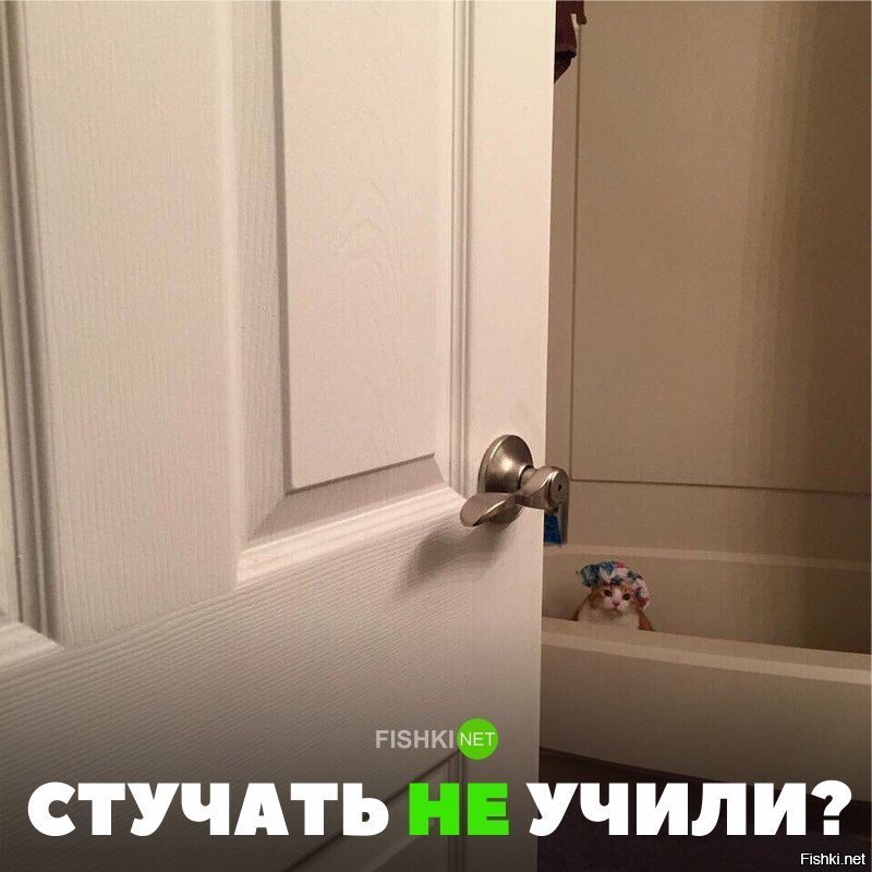 Стучать не учили?