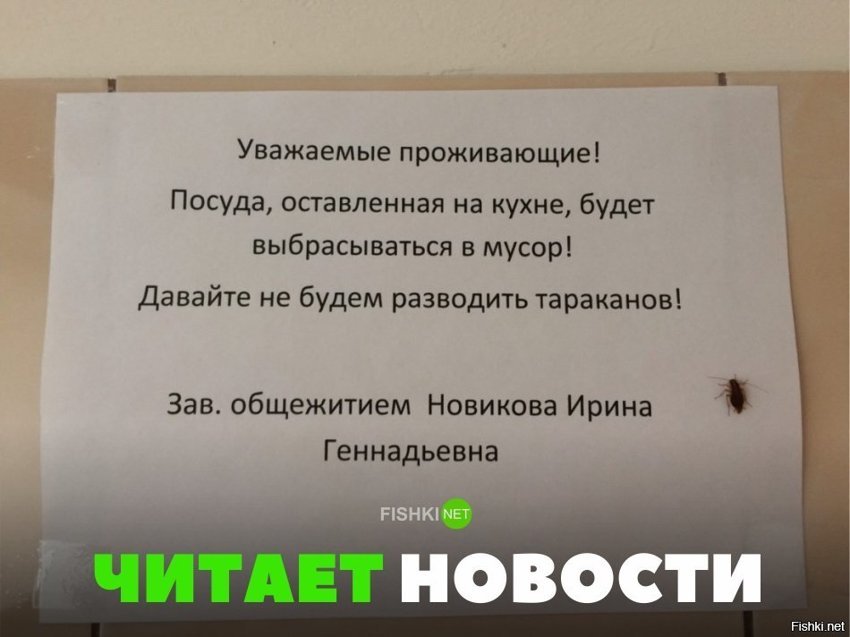 Читает новости