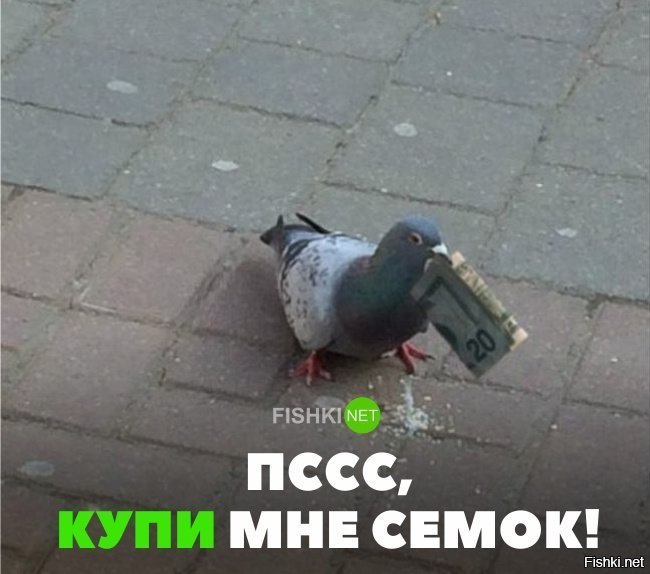 Пссс, купи мне семок