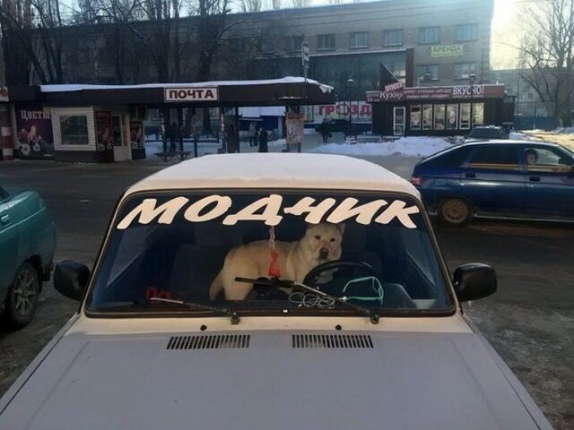 Автовсячина