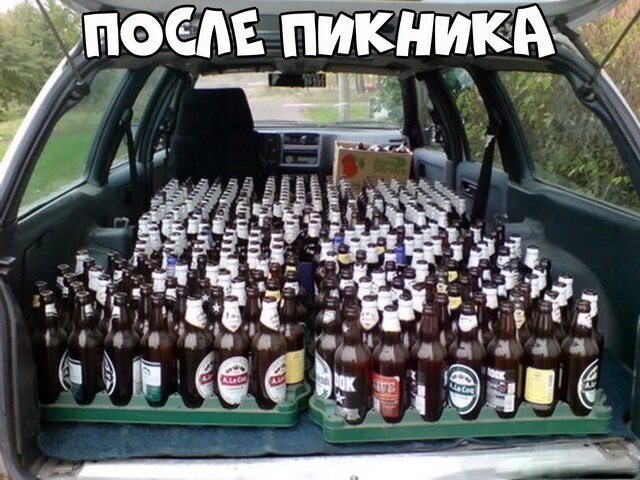 Автовсячина