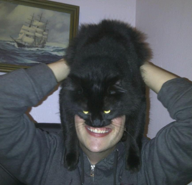 3. Потому что кот на голове точно знает: кот на голове — это, в первую очередь, очень круто