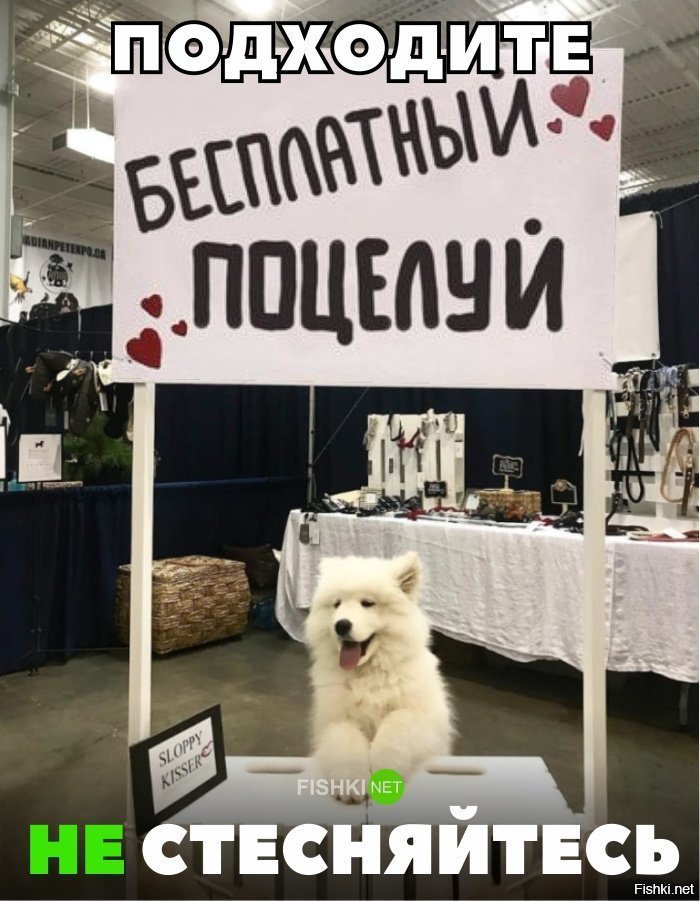 Не стесняйся