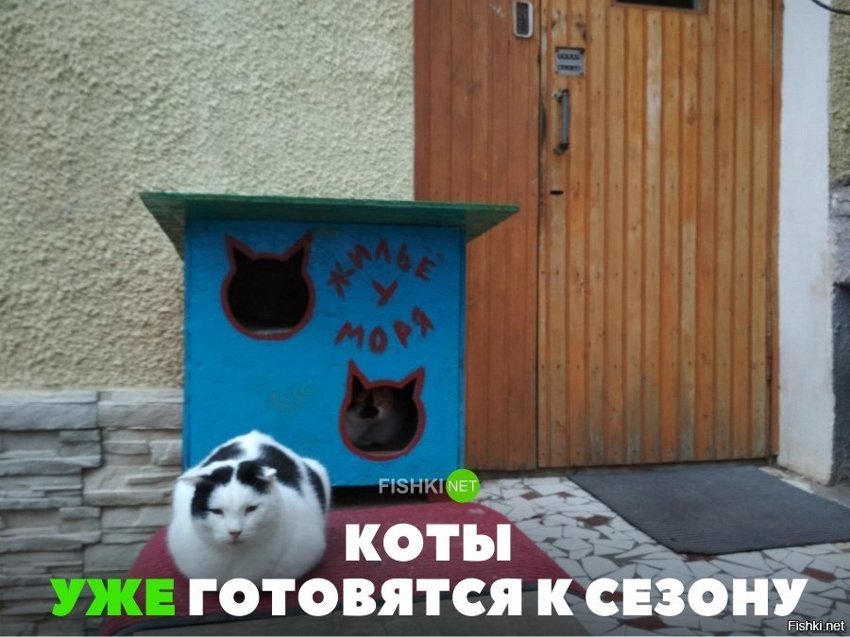 Уже готовятся к сезону