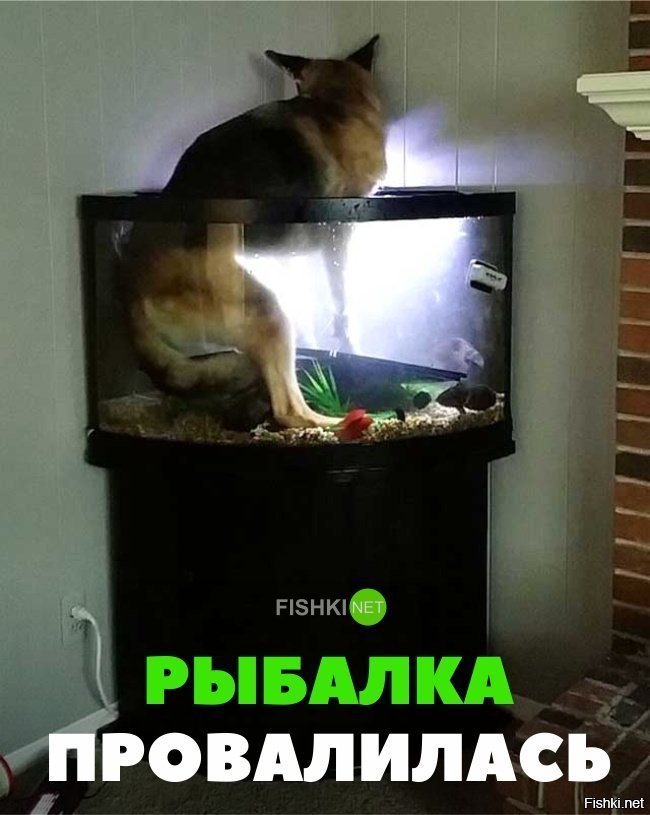 Рыбалка не удалась