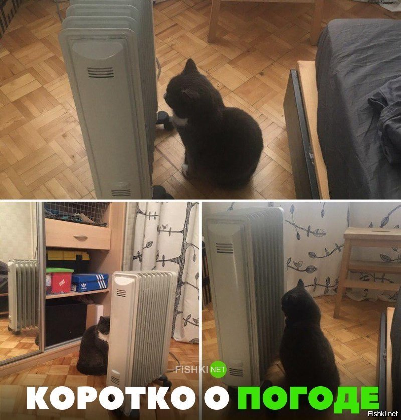 Коротко о погоде