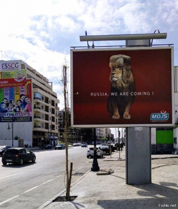 Такие вот интересные билборды развесили по всему Марокко в честь того, что сб...
