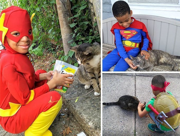 5-летний мальчик помогает уличным котам