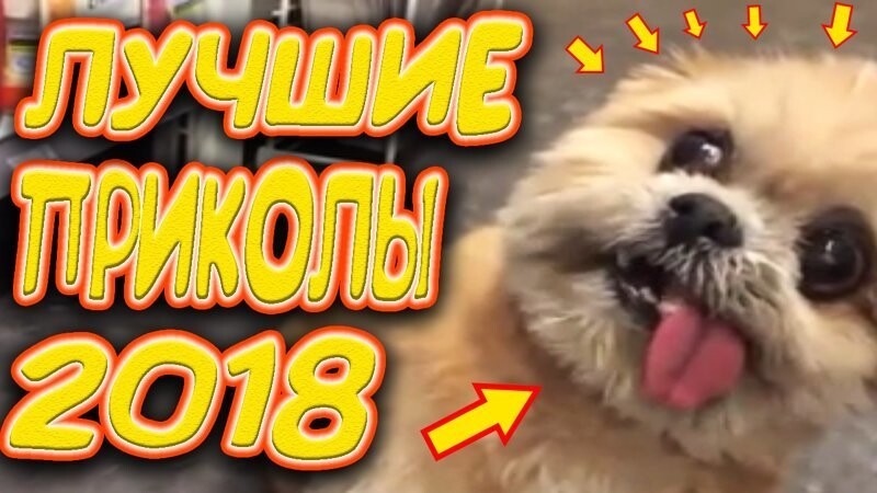 Лучшие шутки и анекдоты 2018 )